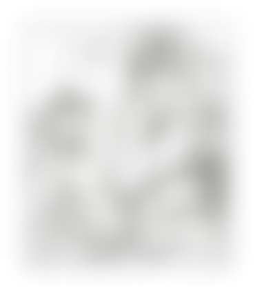 Frame Image